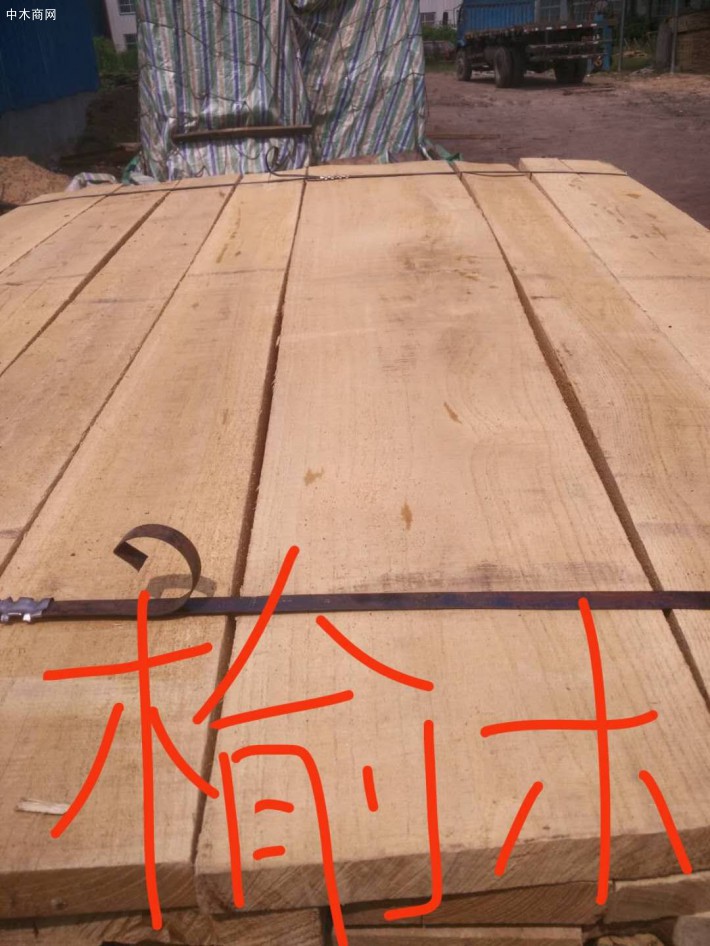 河南漯河临颍县博达木业有限公司专业生产杨木板，炭化杨木板，白杨木烘干板材，白椿木烘干板材，榆木烘干板材