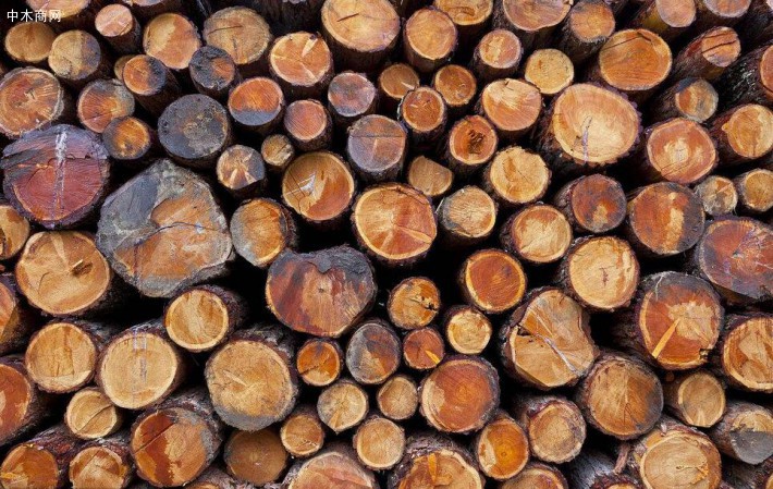 瑞士木材价格走高导致采伐量增加