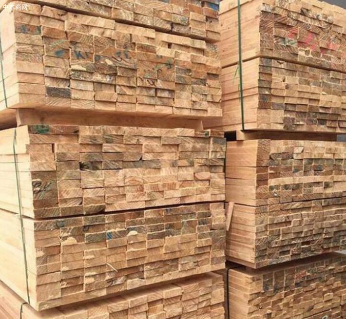 云南普洱市专项整治木材经营加工企业