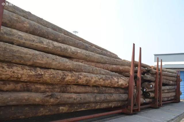 在进口木材贸易方面。不断扩大木材进口量