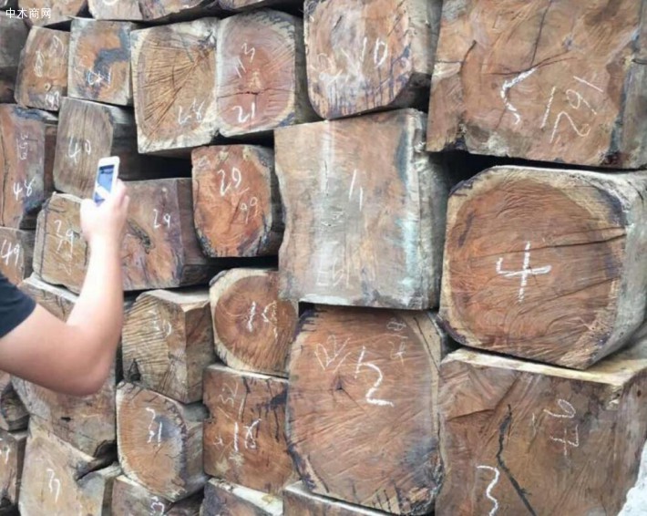 明年起，这些老挝木材将被禁止出口到越南