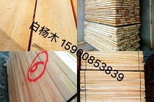 榆木板材杨木板材图2