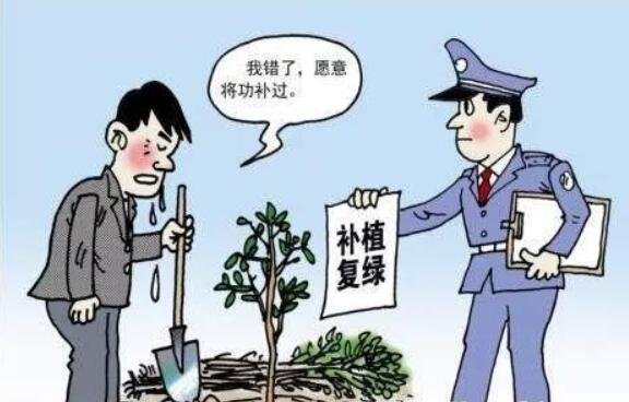 广东和平县破获4宗非法收购盗伐滥伐林木案