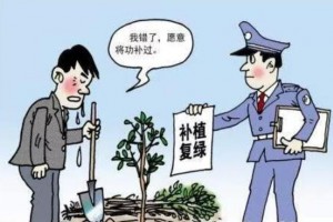 广东和平县破获4宗非法收购盗伐滥伐林木案
