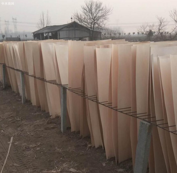 徐州杨木三拼单板皮是消耗大量劳动力的产品