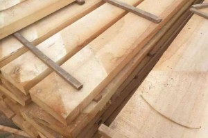杨木板材加工厂家批发价格