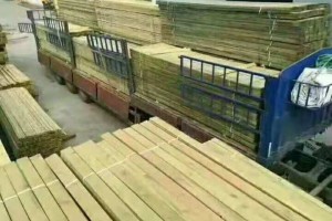 俄罗斯樟子松价格 园林景观樟子松圆柱工程 上海供应商