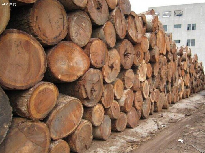 莫桑比克2019年继续对多种木材实施禁伐令