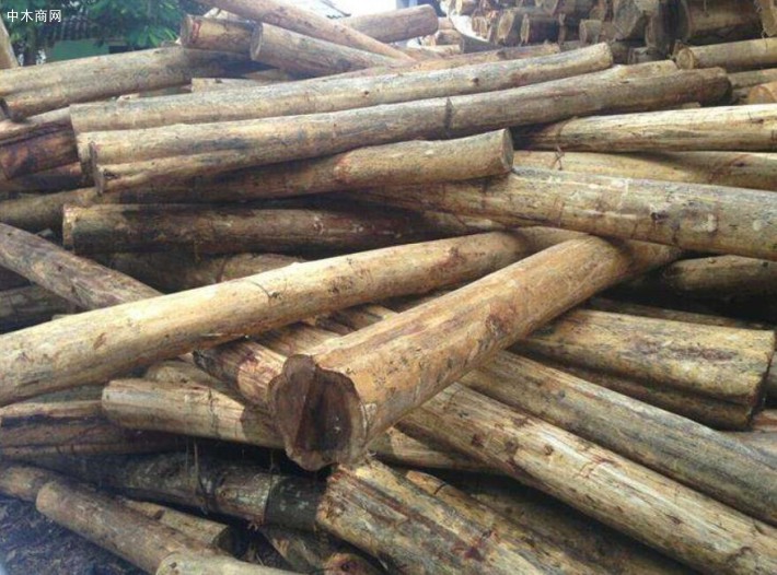 马来西亚原木短缺对木材行业的影响和动荡！