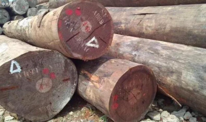 木材市场上常见的十大非洲硬木种类是哪些？