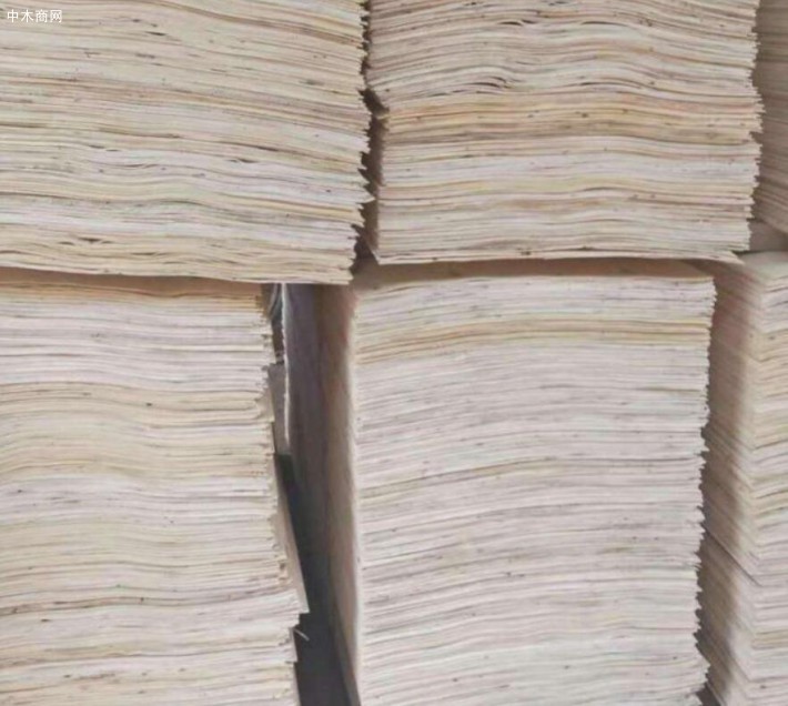 丹寨林业局开展木材市场安全生产隐患大排查行动