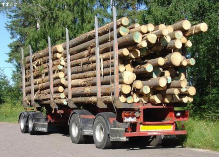 湖南办木材运输证取消多种证明