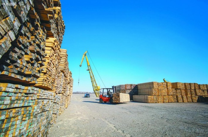 俄罗斯伊州木材贴标政策收效显著 2019年将继续推行