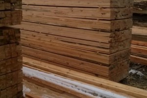 欧洲松木 木板 梁木 高质量 客户构建图3