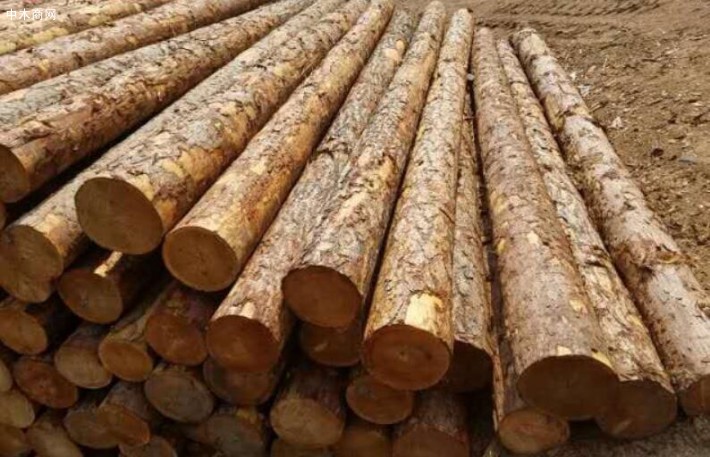 3年多来，我国每年减少木材产量373.4万立方米