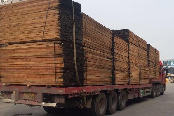 未来缅甸的木材砍伐量，将以成材的树木量为依据来核算