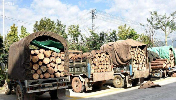 长期垄断木材运输 江西一恶势力团伙被提起公诉