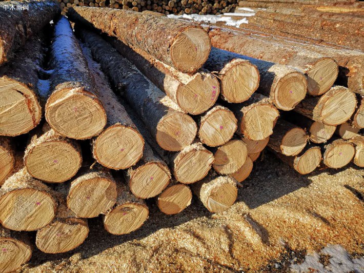  2019年中国木材消费量预计增长约7%