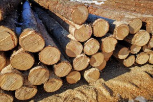 2019年中国木材消费量预计增长约7%