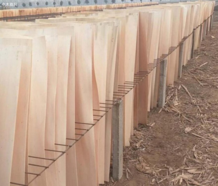 杨木三拼板皮是消耗大量劳动力的产品