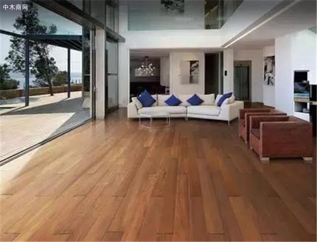 经过改性的速生杨木可用于室内装饰及高档家具