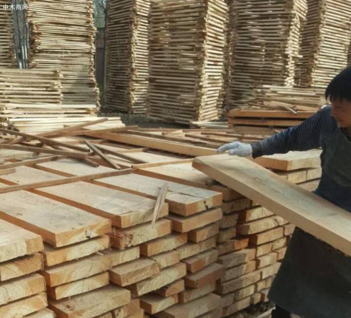 河南建淼木业加工厂生产销售河南本地的白杨木，白椿木，红椿木，榆木等各种实木烘干板材
