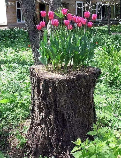 也可以像这样，留下最后一节树桩