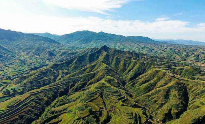 黄土高原地区成为全国连片增绿幅度比较大地区
