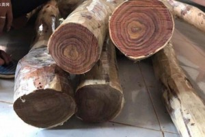 2019年中高端红木原材木材商家期待值不高