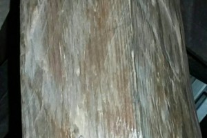 海南黄花梨百年老料（长度3.11米、厚度7厘米）图3