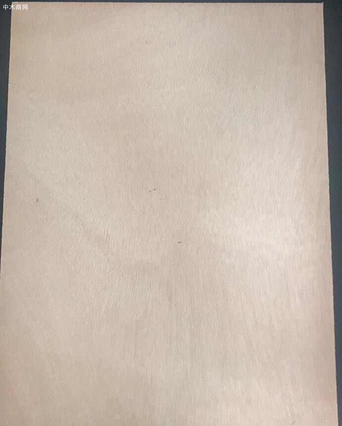 临沂金牛木业