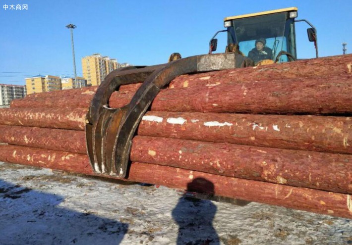 俄远东铁路局新增木材出口对华货运快车
