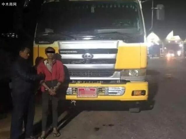 林业局与警方在搜查一辆油罐车时发现车内拖运着非法运输的梨花木切割料