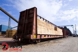 辽宁省全部启用新版木材运输证明