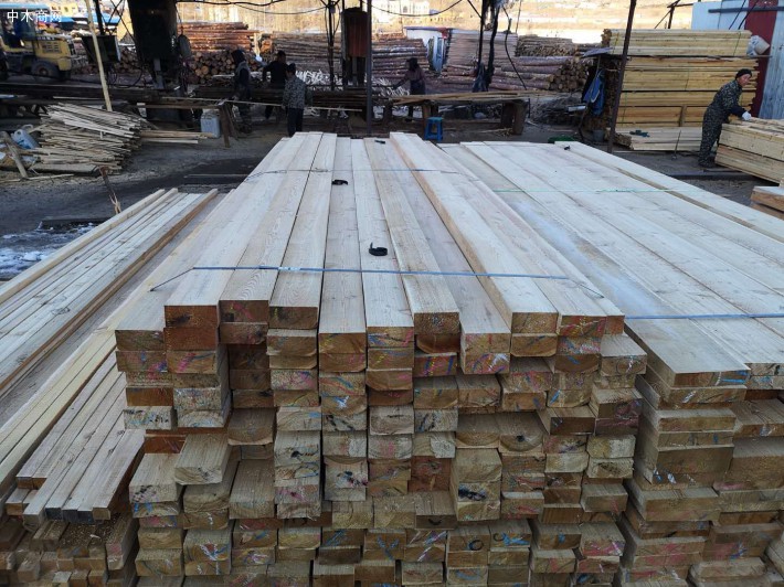 广西柳城县木材加工产业园正在投入建设中