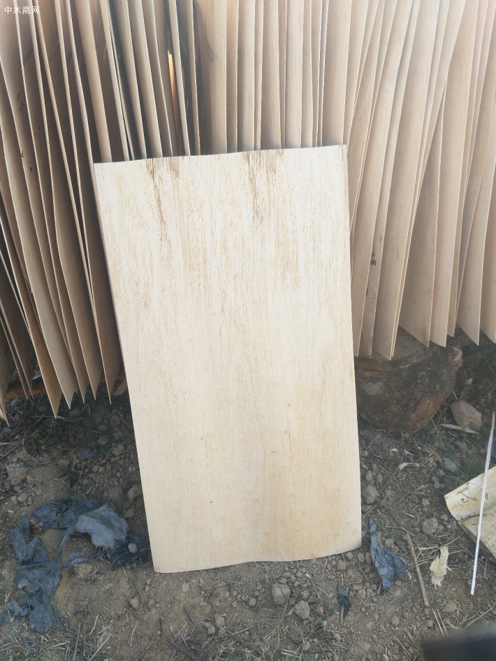 胶木杂木单板出售
