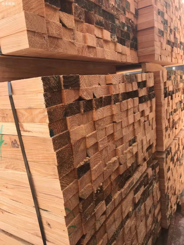 新西兰松木是木材供应品种中一种有吸引力的可接受的替代木材