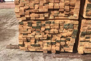 新西兰松建筑木方多少钱一根图3