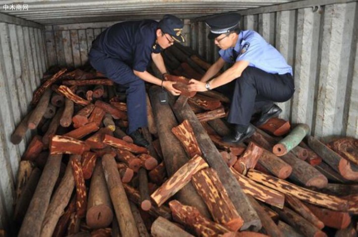 蔡某共购得木材37吨，其中檀香紫檀木27.8吨