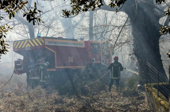 科西嘉岛森林火灾 大火吞噬超过1500公顷的森林