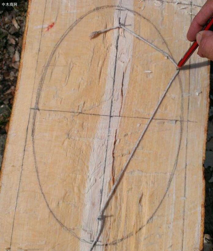 用笔在木头的横切面上画出一个椭圆