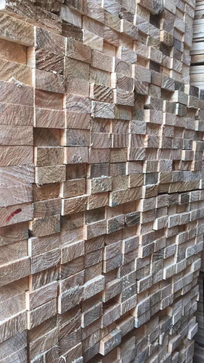 池州创秋建筑木方批发价格