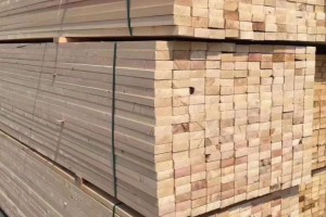 池州创秋木业建筑木方批发销售