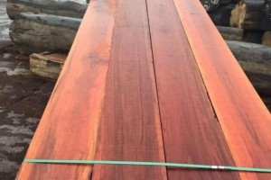 源展批发直销印尼菠萝格木材硬木 防腐板原木 地板木炭化