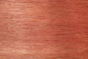 红柳桉木的识别及用途