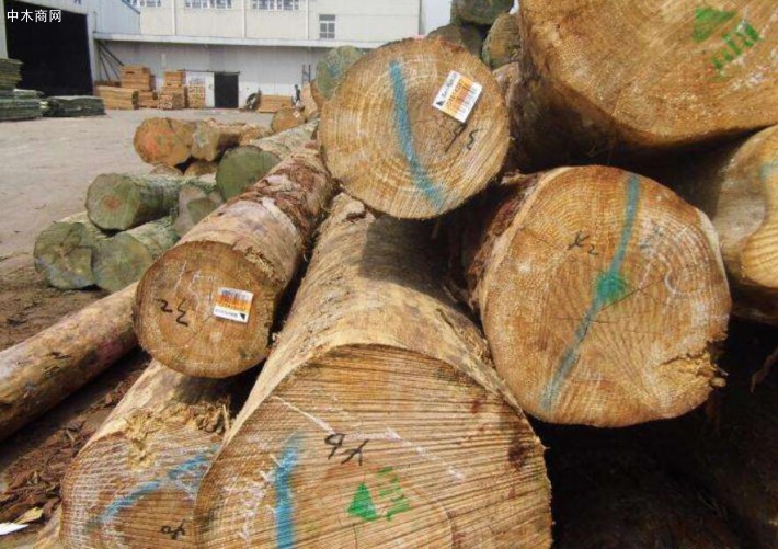 新西兰软木木材价格行情_2019年03月05日