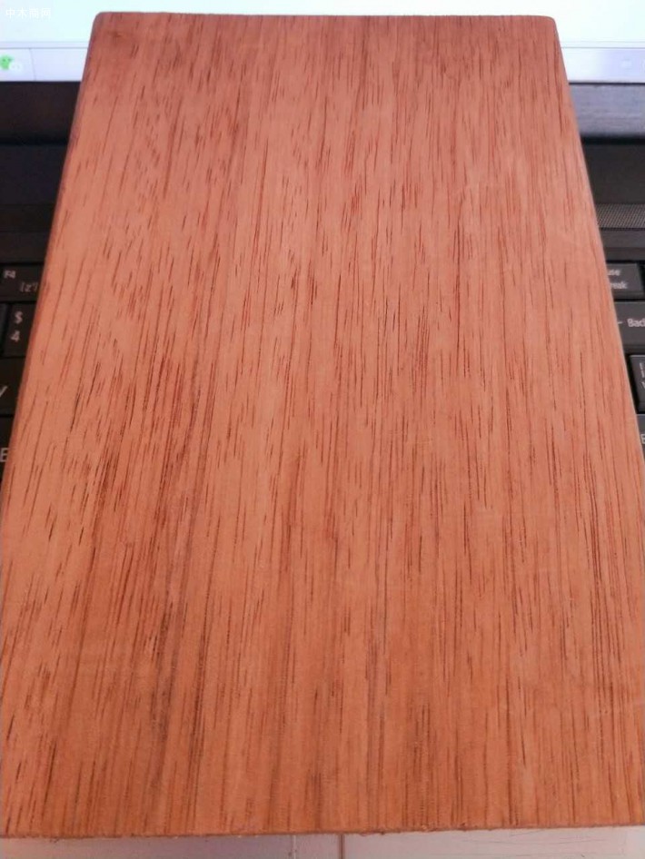 柳桉木木材性状