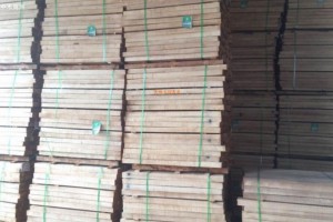 我国橡胶木产业锯材年消费量大约在600万立方米