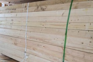 芬兰云杉-云杉板材-云杉板材价格-云杉板材批发图1