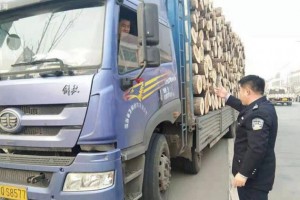 山东莒县查处一起无木材运输证运输木材案